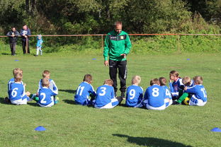 AYX爱游戏中国-中国篮球教练员技术战术创新能力提升路径，篮球教练发展