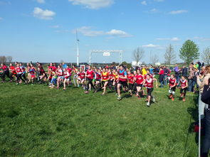 爱游戏入口-全国青少年劳动体育竞赛各项赛事激烈进行，全国青少年劳动体育竞赛各项赛事激烈进行的原因